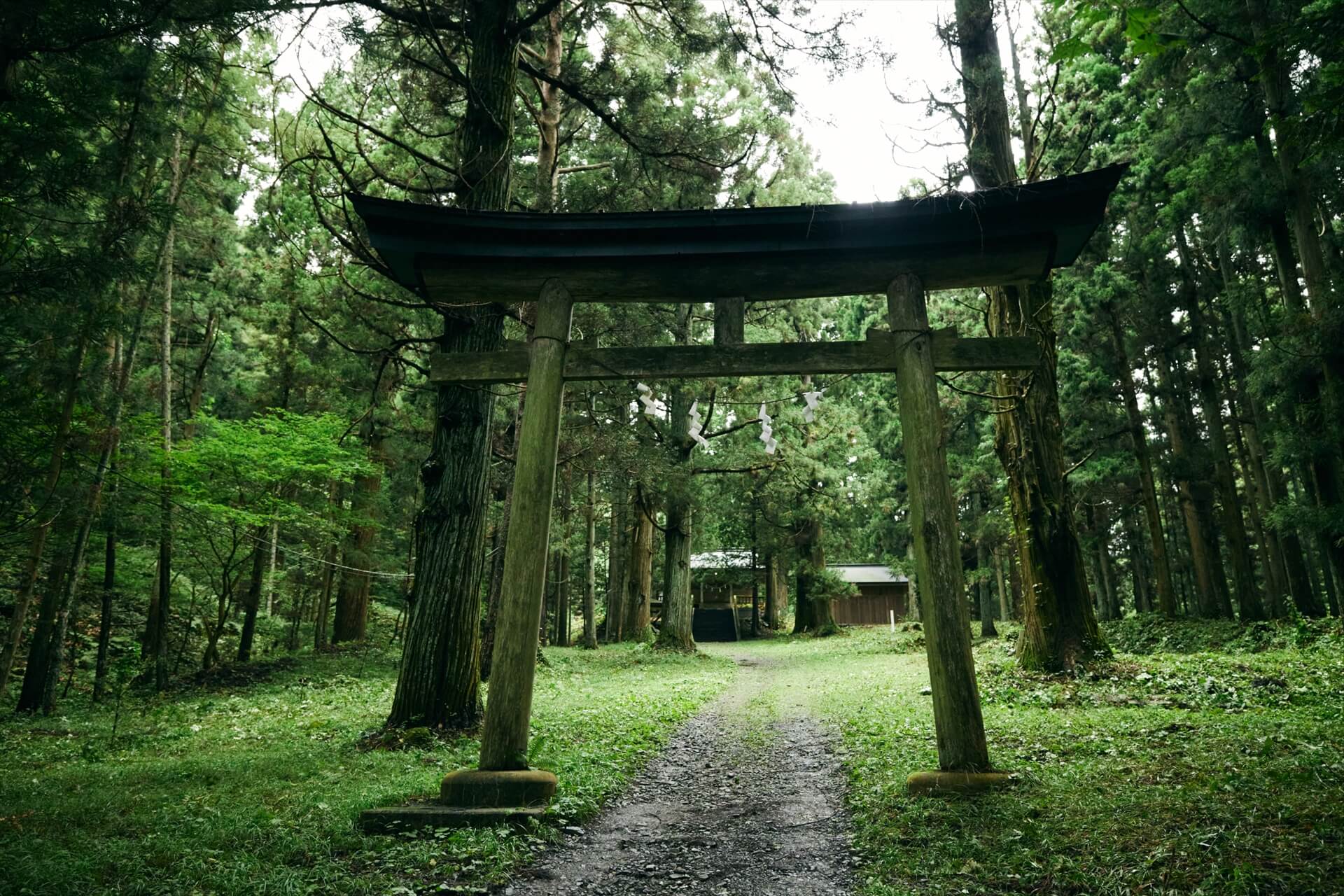 神々からの授かり物、そして伝統へ